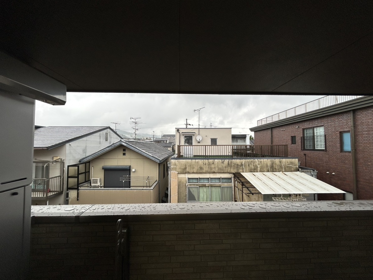庭 写真13