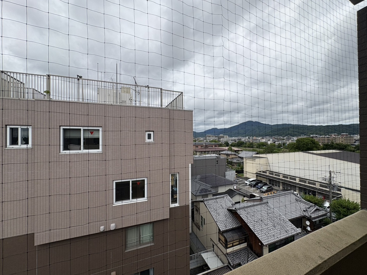 庭 写真29