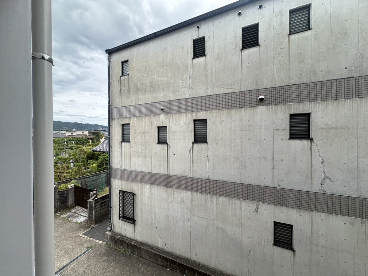 庭 写真17