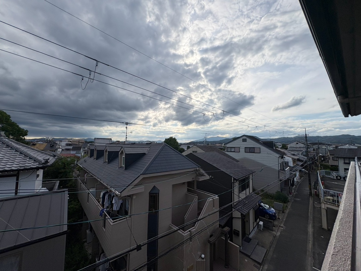 庭 写真17