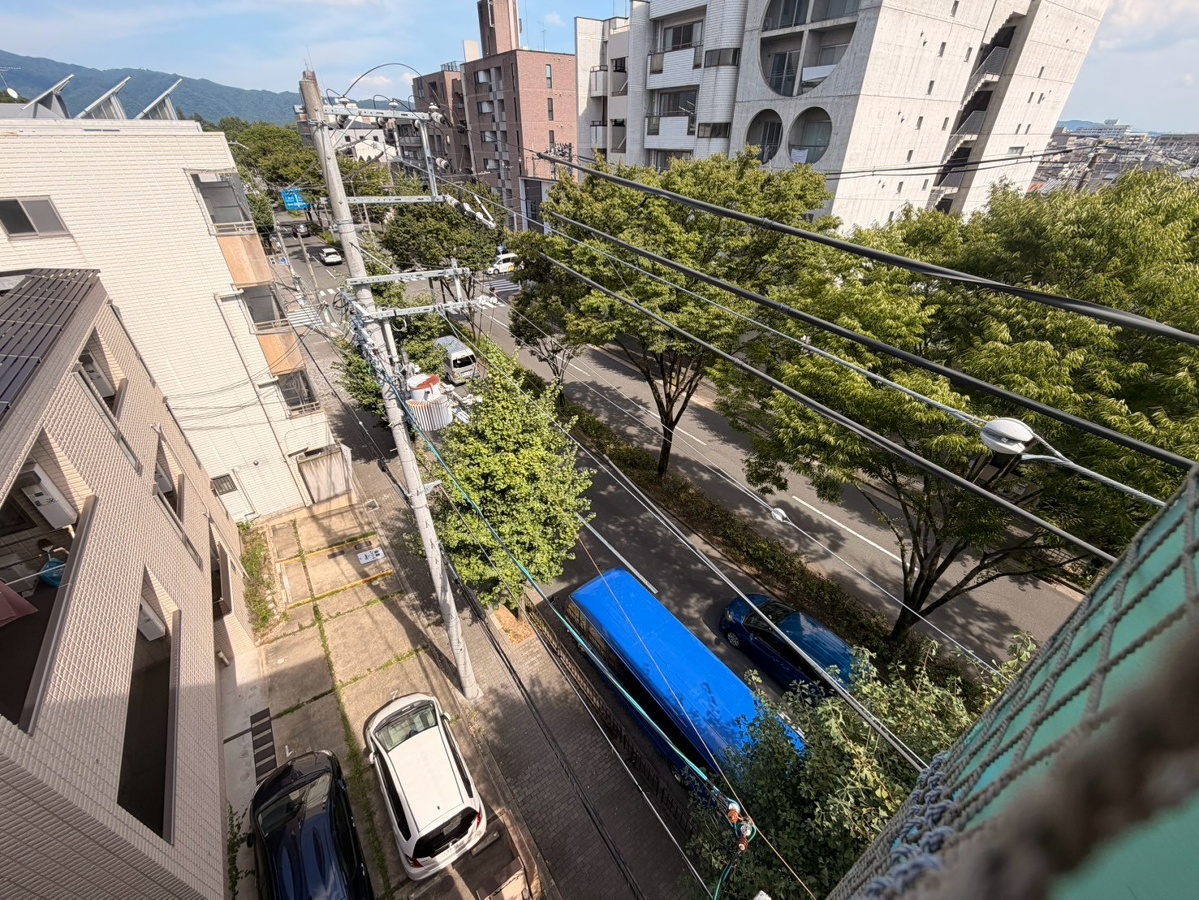 庭 写真17