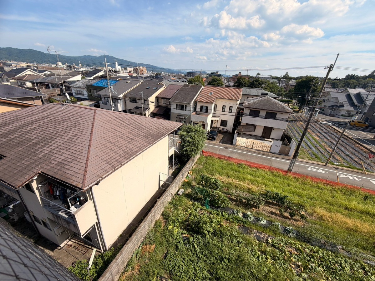 庭 写真18