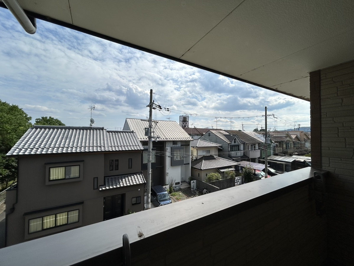 眺望 写真19