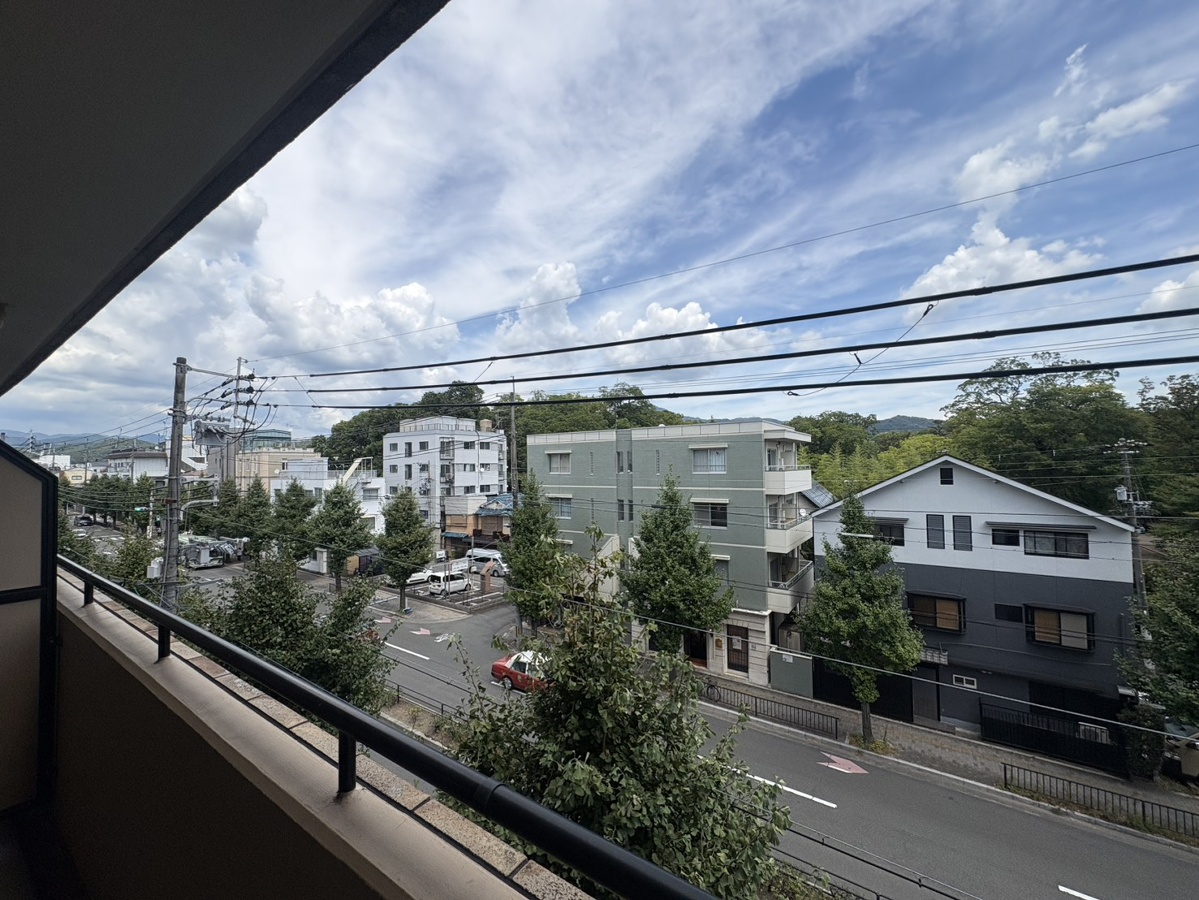 庭 写真17
