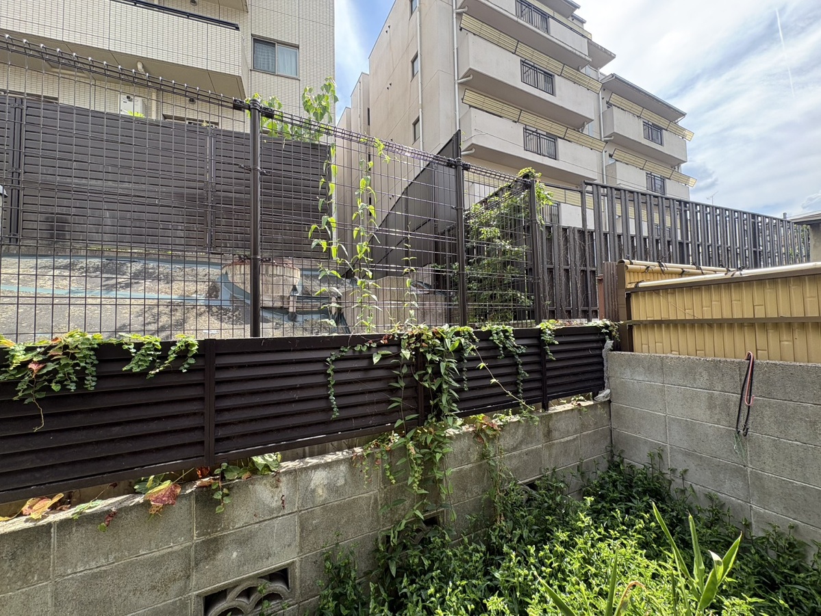 眺望 写真29