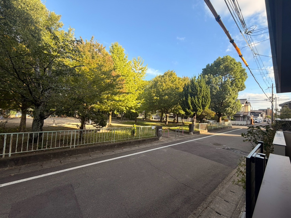 庭 写真16