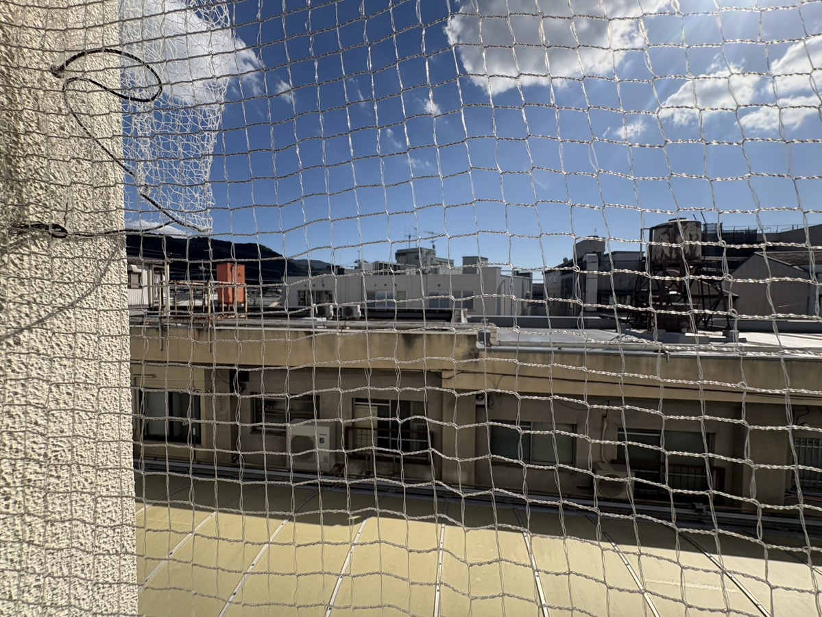 庭 写真18