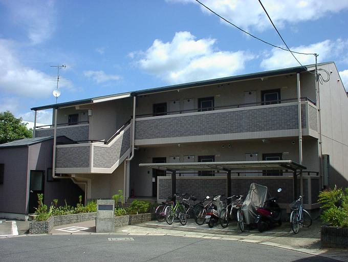 サンシャイン295