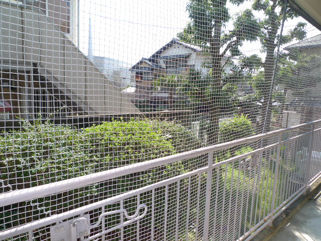 眺望 写真12