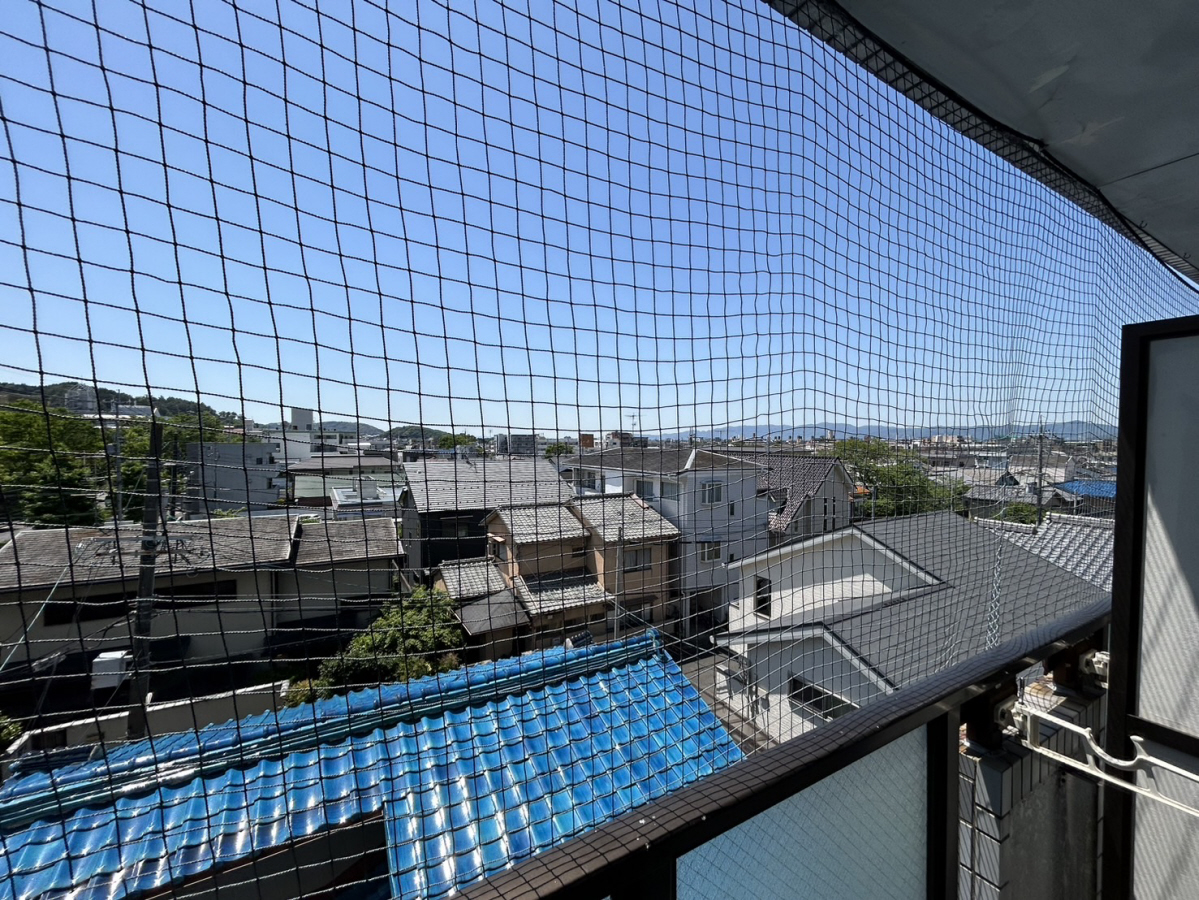眺望 写真29