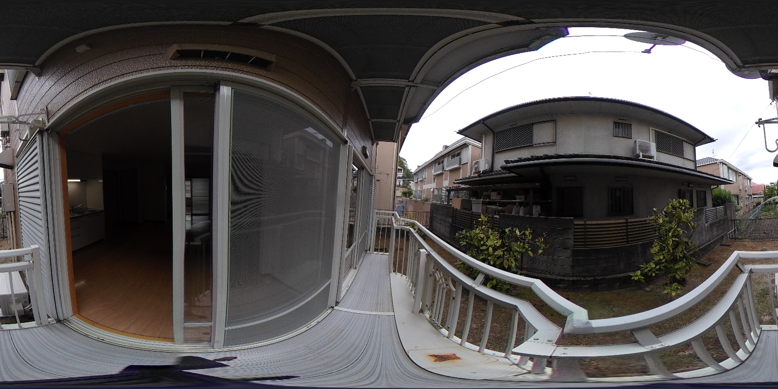 写真31