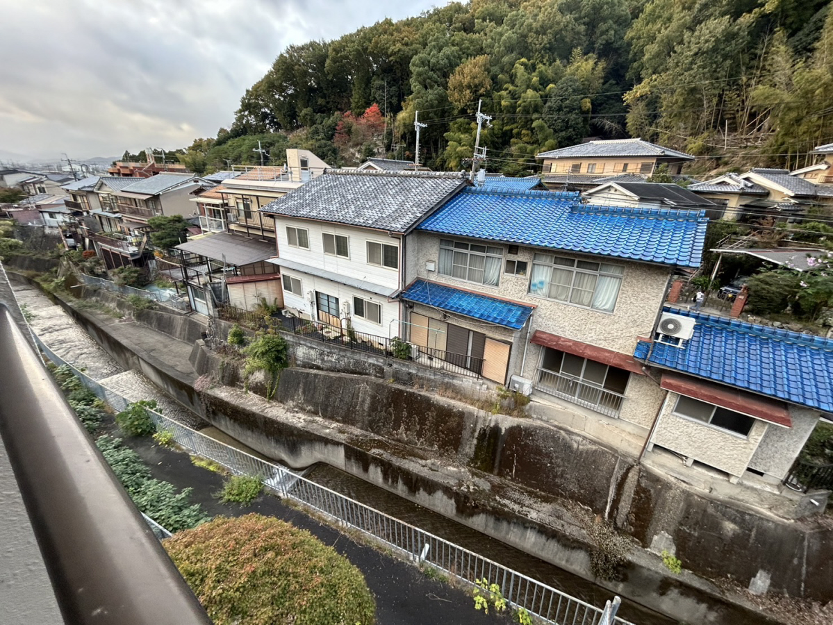 庭 写真20