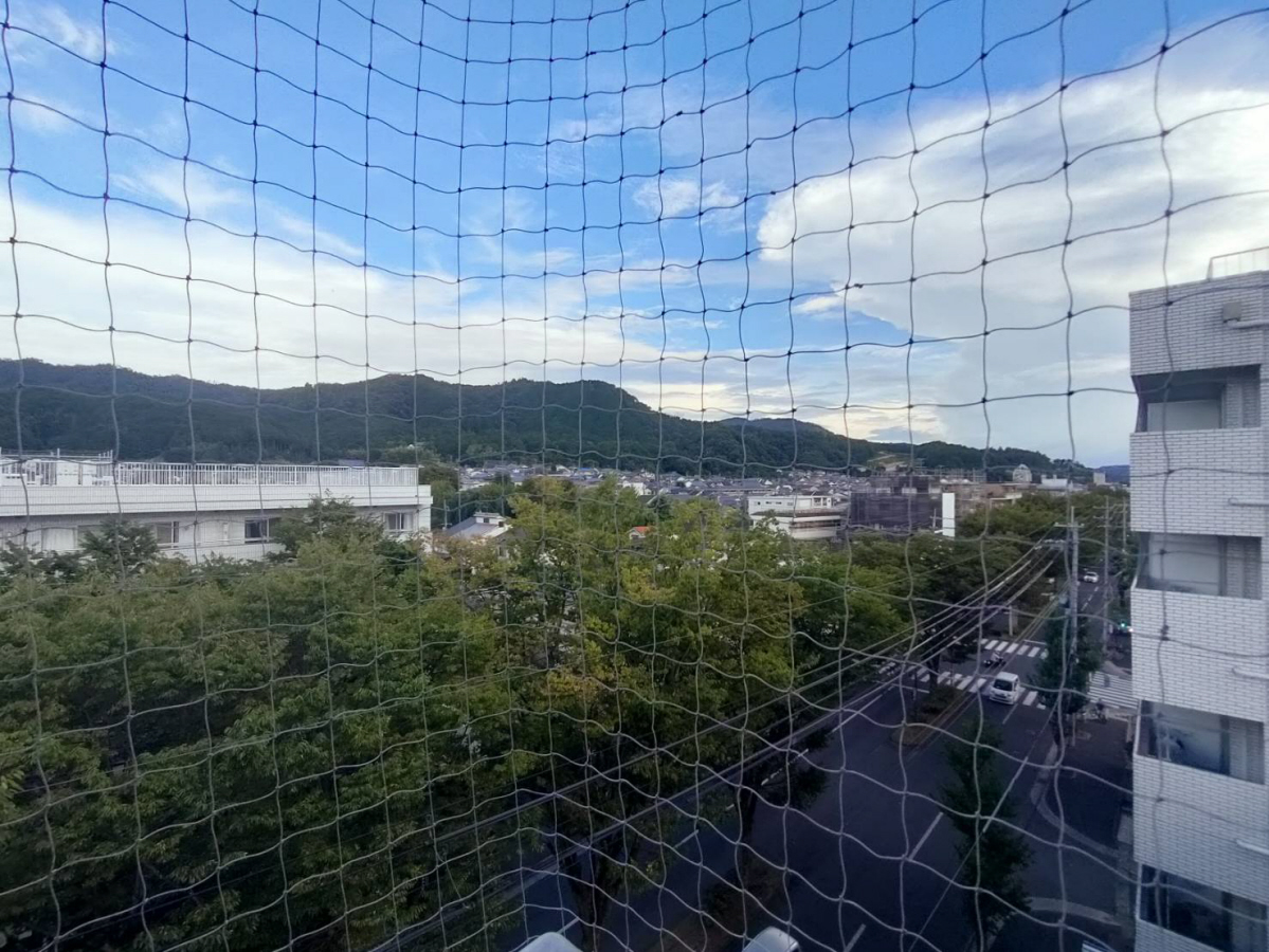 眺望 写真17