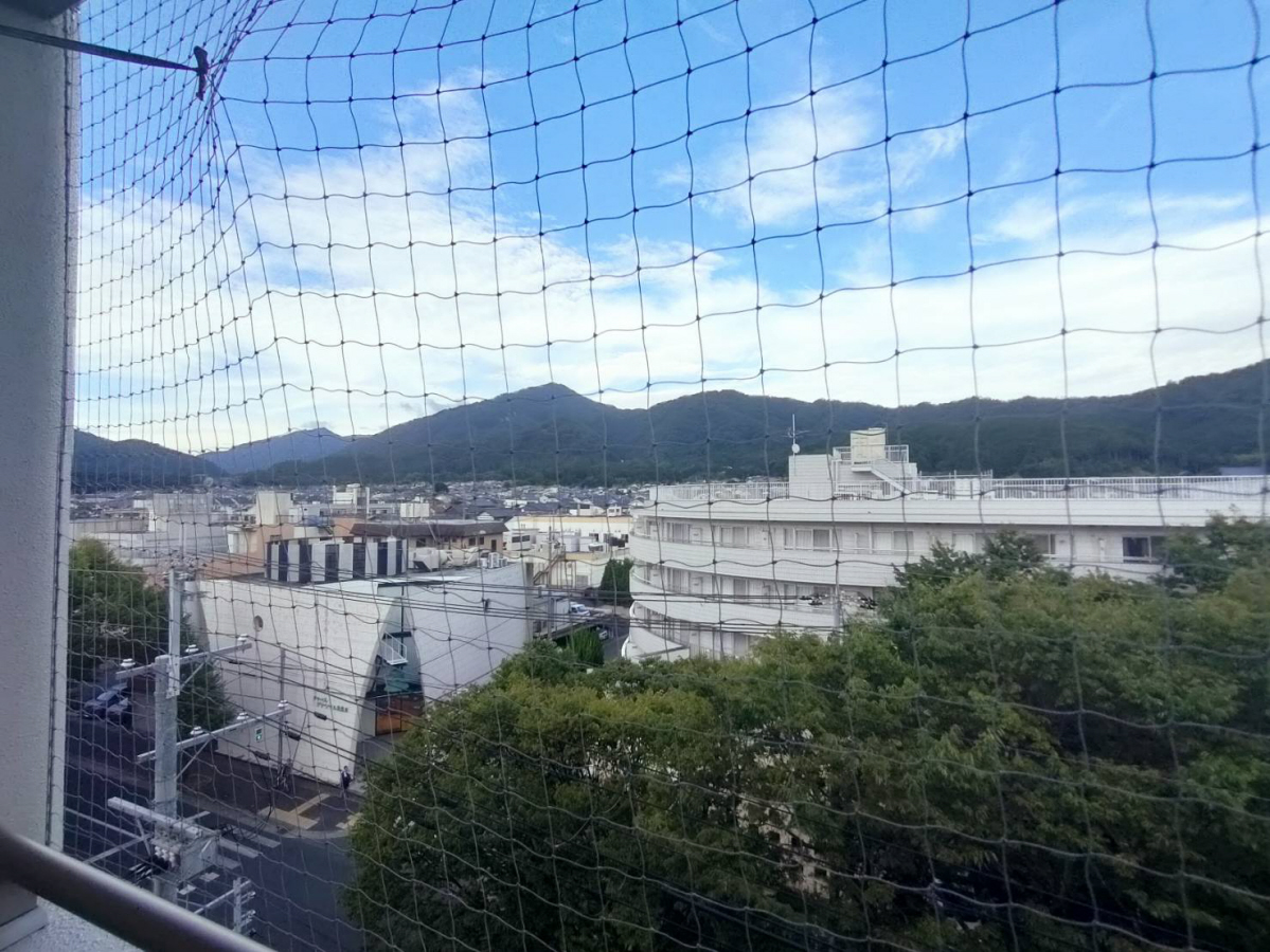 庭 写真14