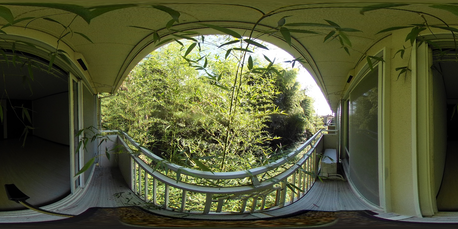 写真37