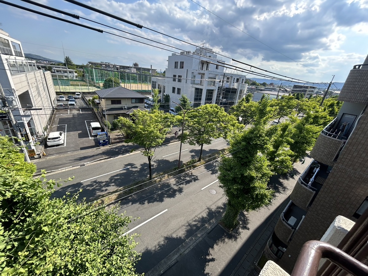 庭 写真19