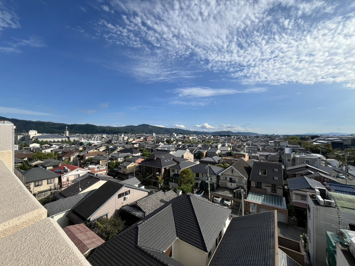 庭 写真16