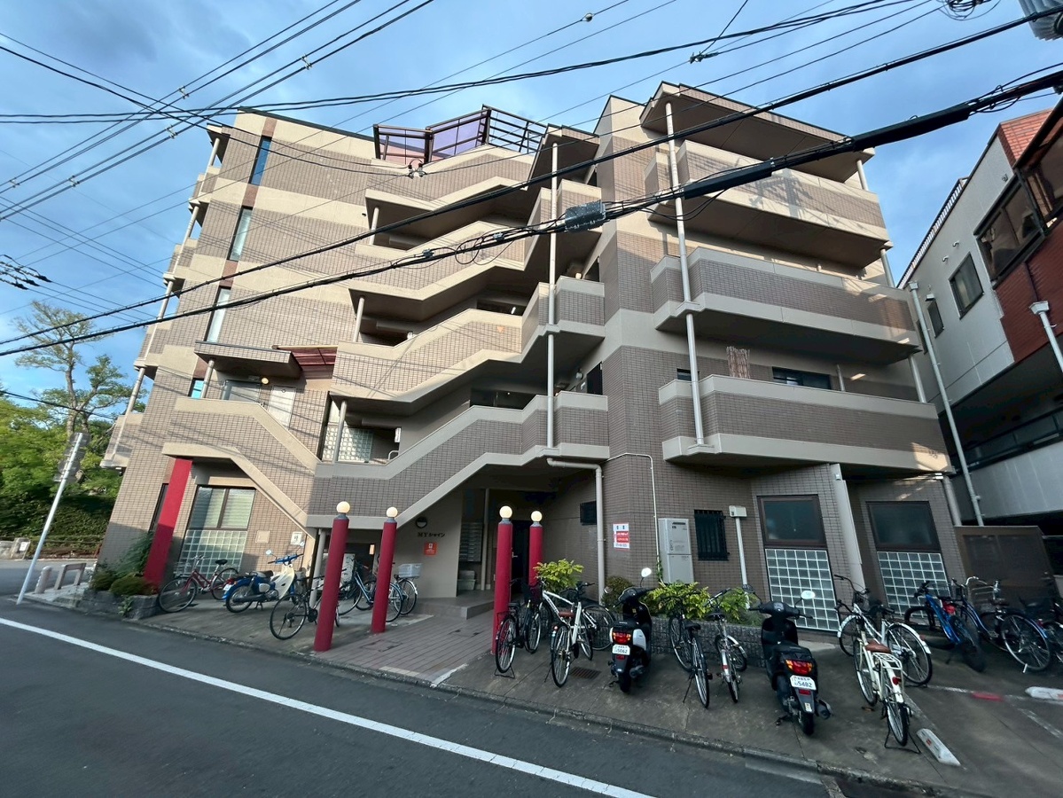MYシャイン