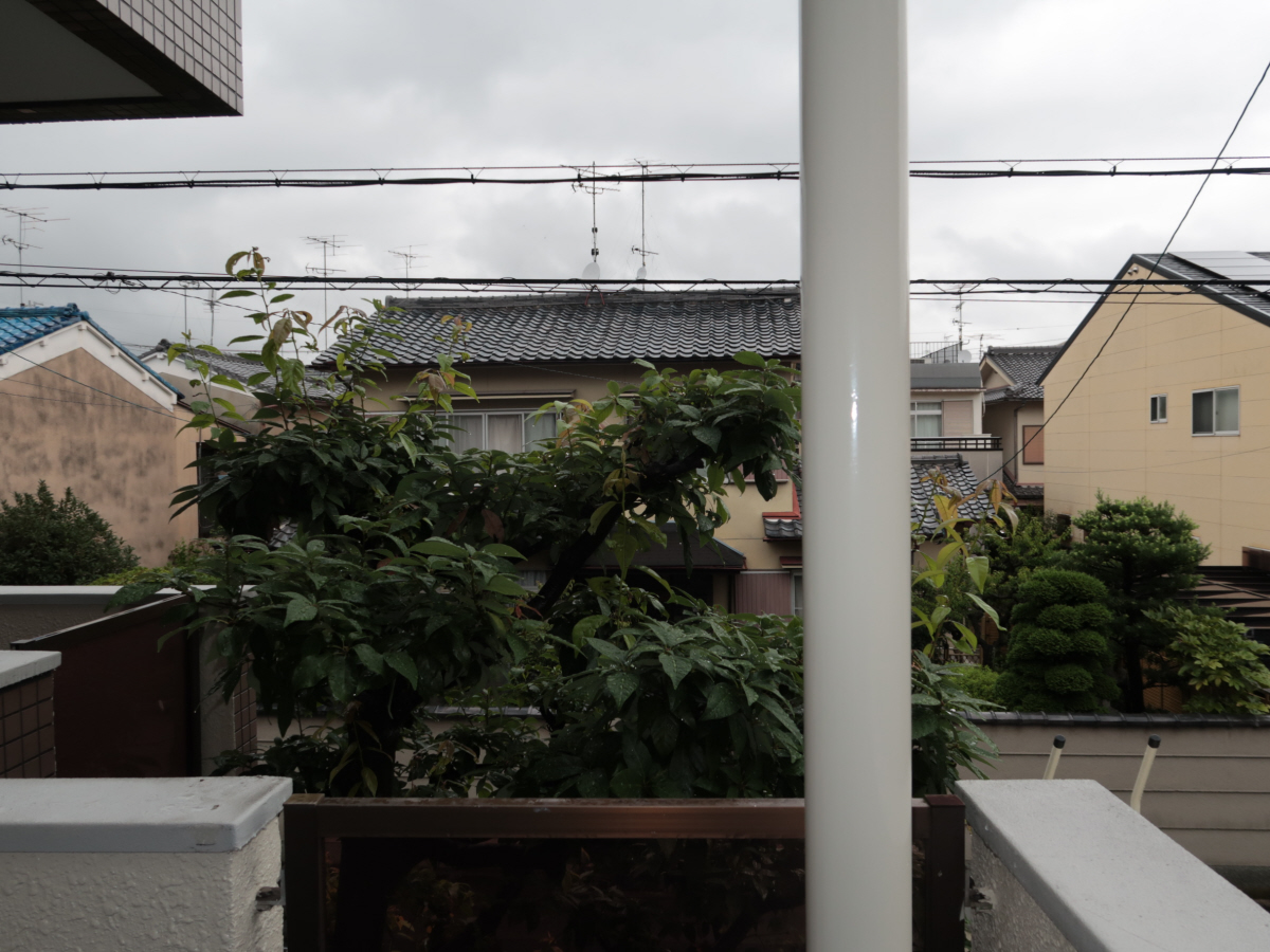 眺望 写真14