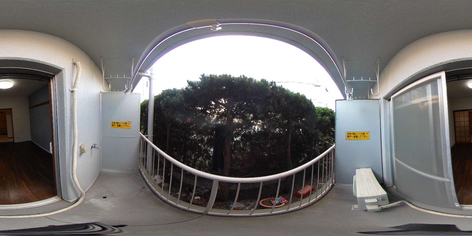 写真37