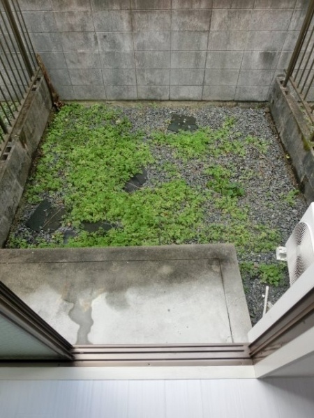 バルコニー・ベランダ 写真15