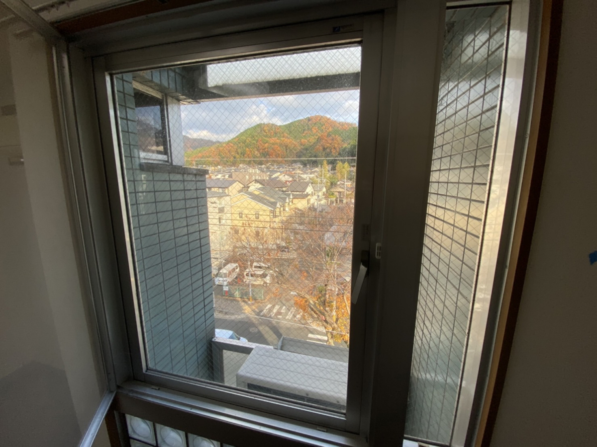 庭 写真12
