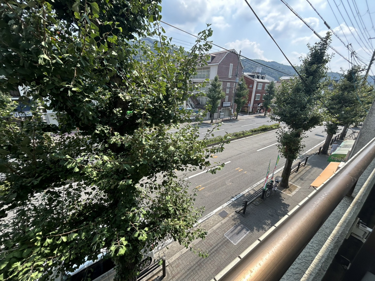 庭 写真28