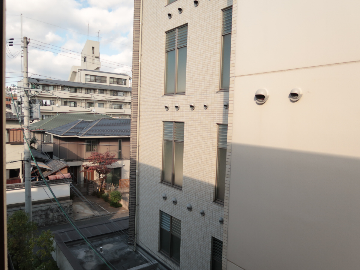 庭 写真12