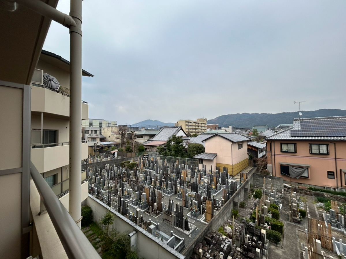 眺望 303号室の写真です 写真19