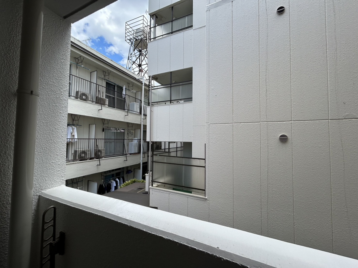庭 写真17