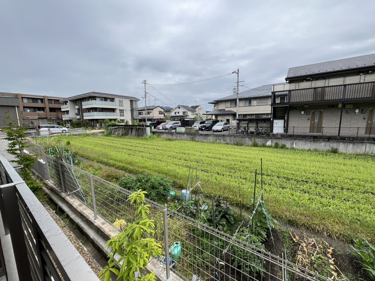 庭 写真28