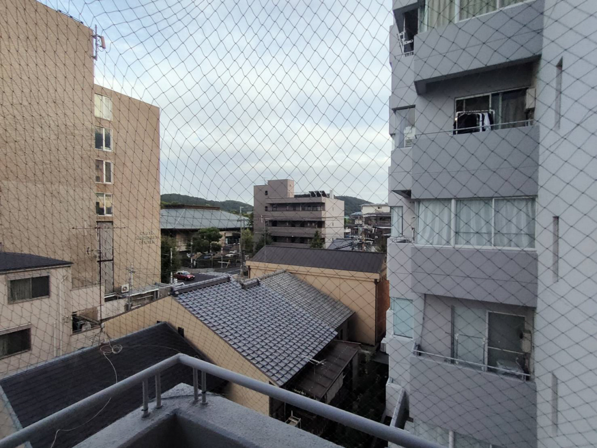 庭 写真17