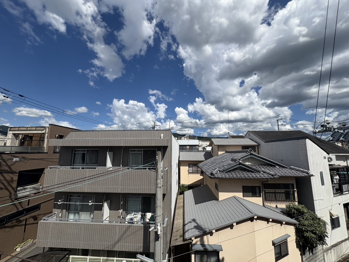 庭 写真18