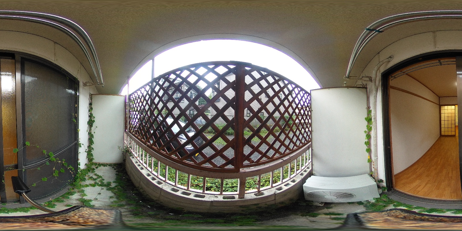 写真37