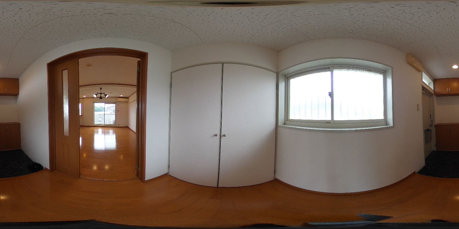 写真12