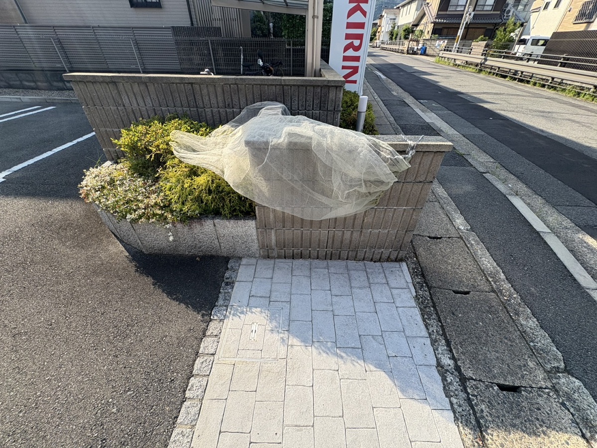 共用部 写真4
