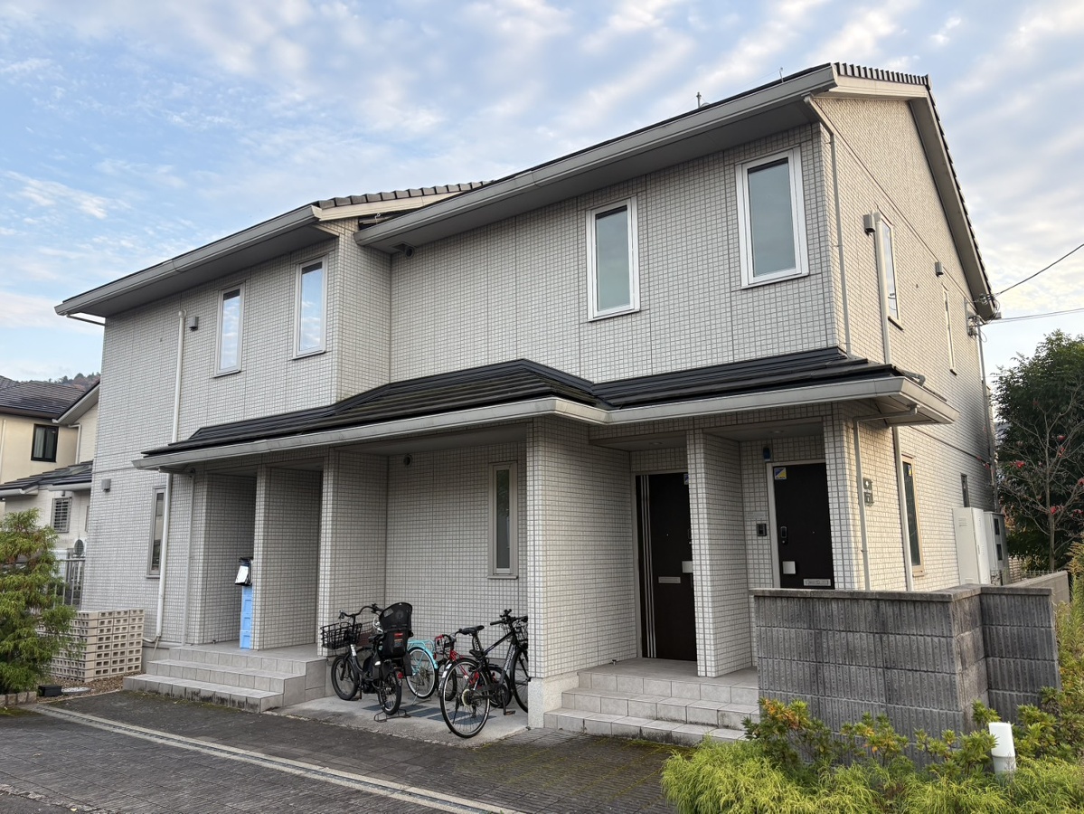 Ｂｕｒｓ　ｗｏｏｄ　B