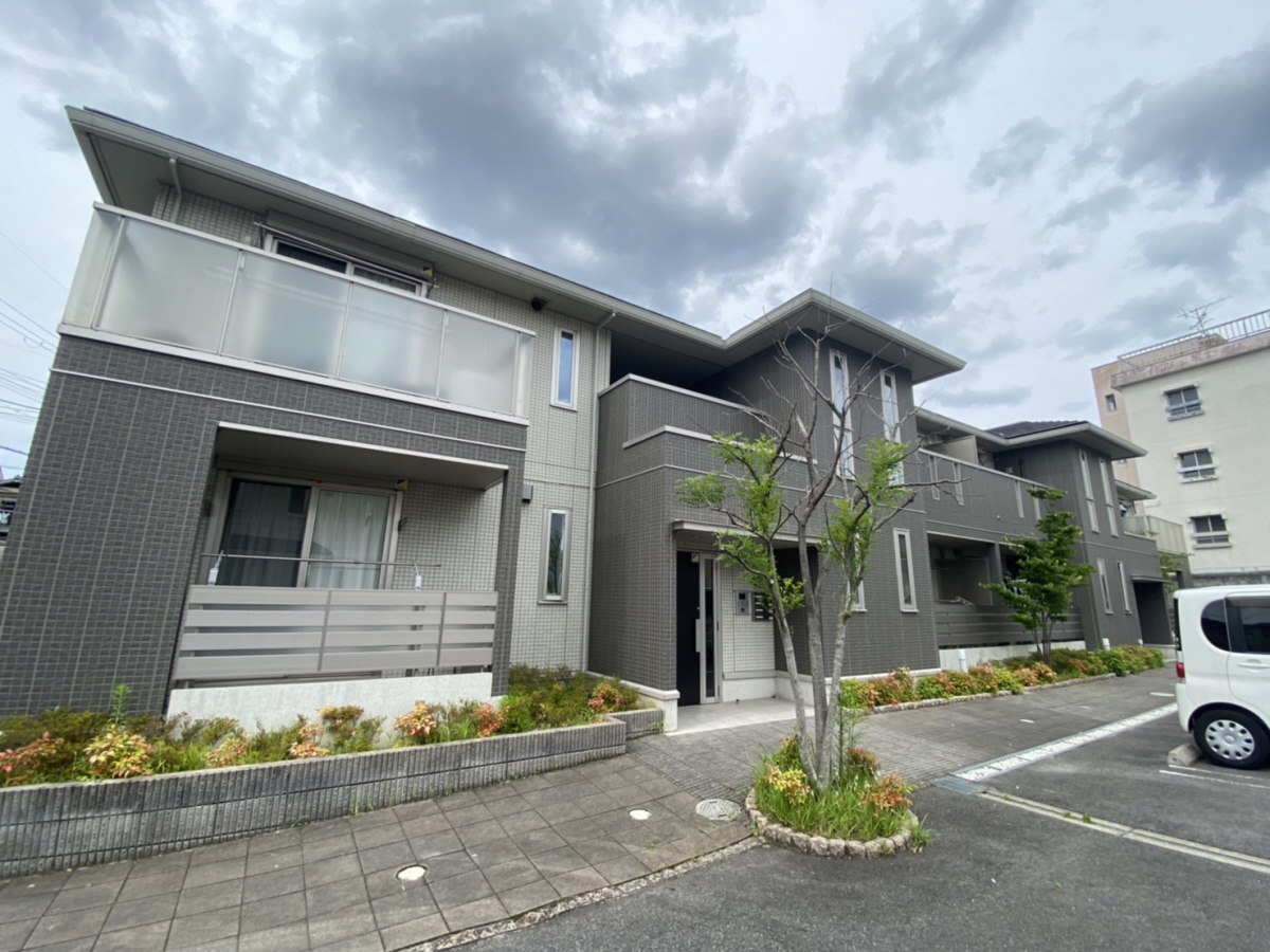 Ｂｕｒｓ　ｗｏｏｄ　A