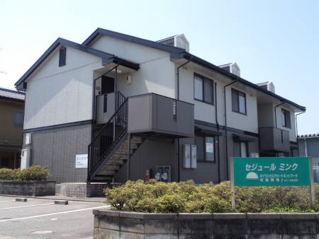 セジュール　ミンク　Ｌｇ