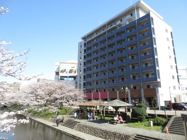 サクラーレ