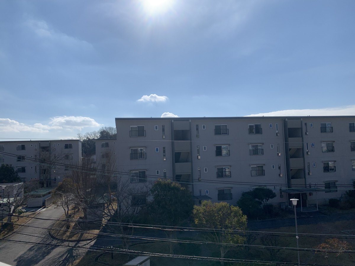 写真19