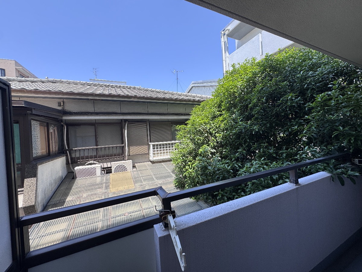 眺望 写真31