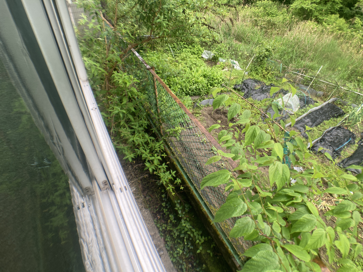 バルコニー・ベランダ 写真11