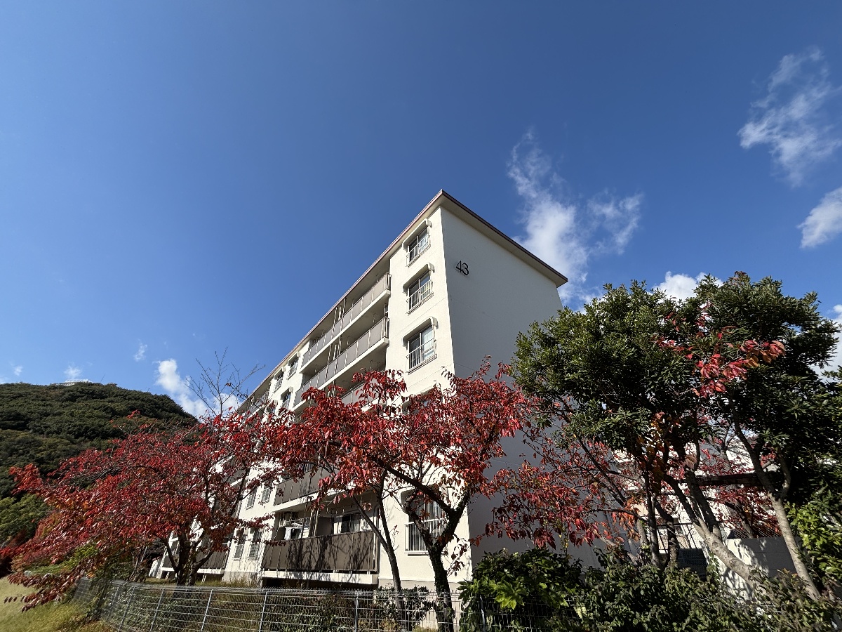 高倉台10団地43号棟