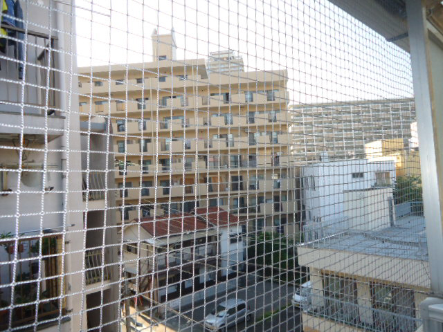 眺望 眺望 写真15