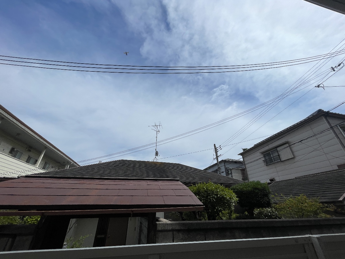 写真29
