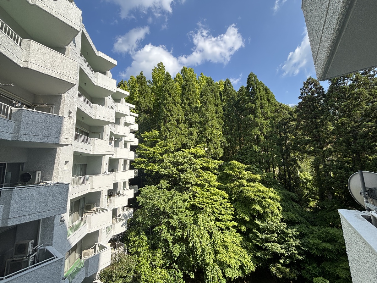眺望 写真30