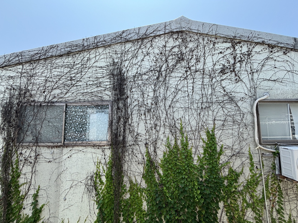 眺望 写真18