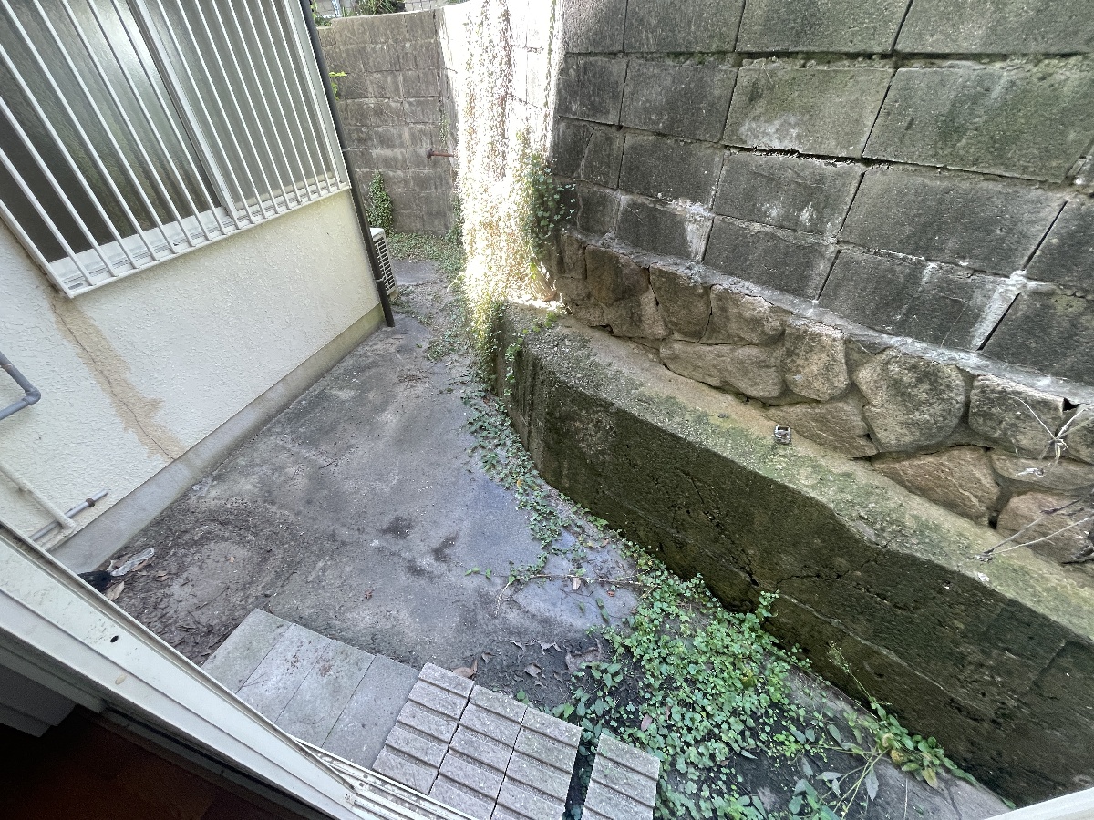 庭 写真11
