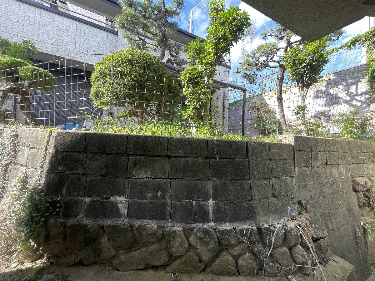 写真19